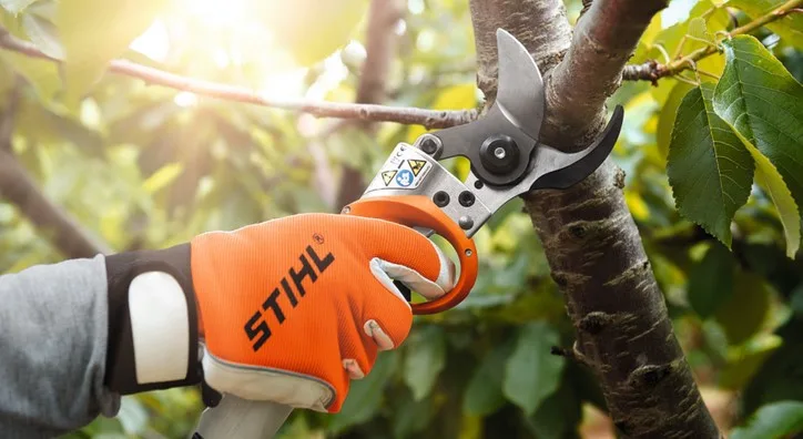 gardening landscaping tools
