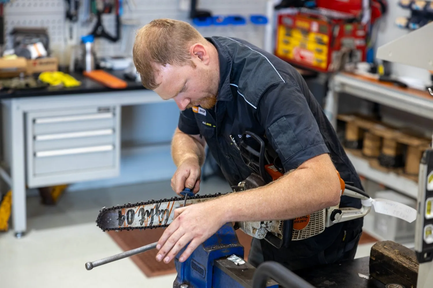 A technician sharpening a chainsaw chain in a vice in the workshop